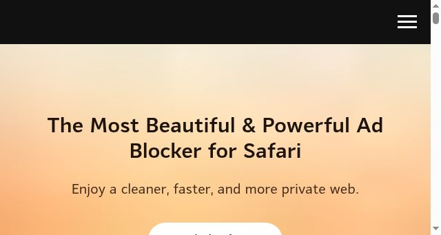 Screenshot of 1blocker.com