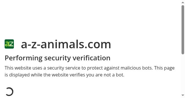 Screenshot of a-z-animals.com
