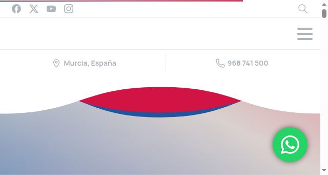 Screenshot of acelerapymemurcia.es