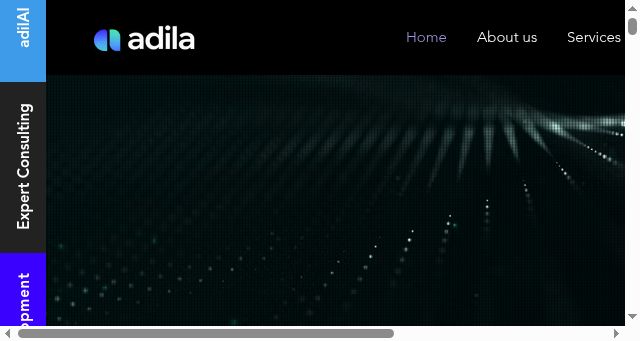 Screenshot of adilafinpay.com