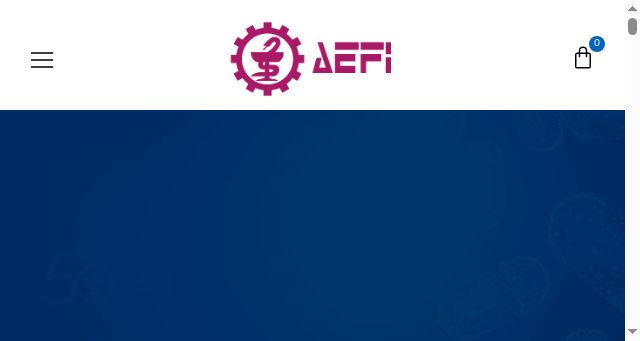 Screenshot of aefi.org
