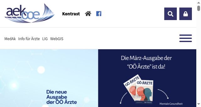 Screenshot of aekooe.at