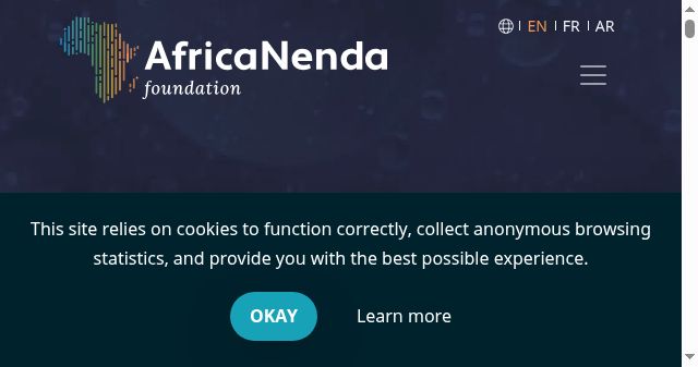 Screenshot of africanenda.org
