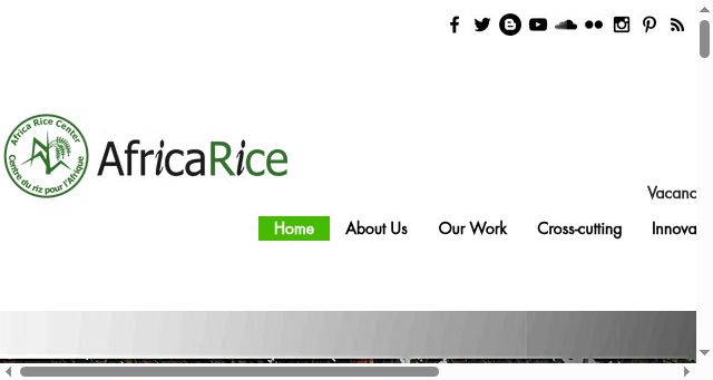 Screenshot of africarice.org