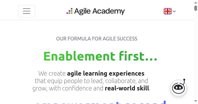 Screenshot of agile-academy.com