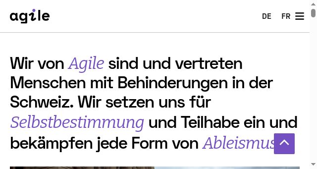 Screenshot of agile.ch