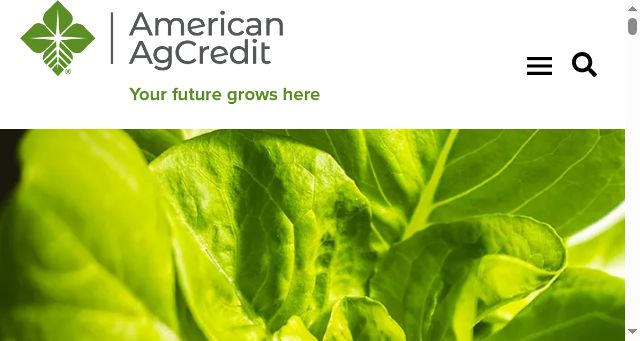 Screenshot of agloan.com