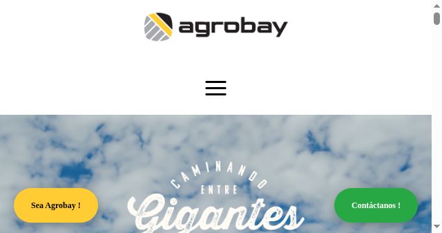 Screenshot of agrobay.com.py