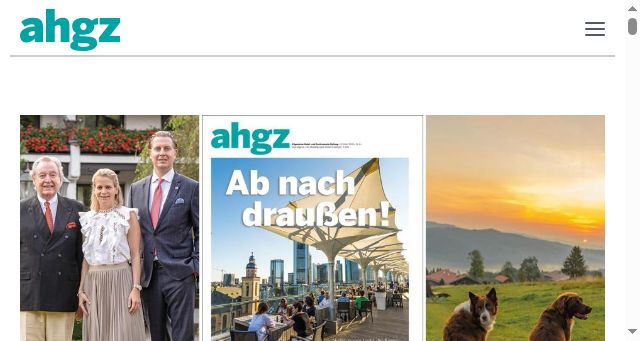 Screenshot of ahgz.de