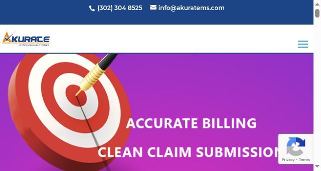 Screenshot of akuratems.com