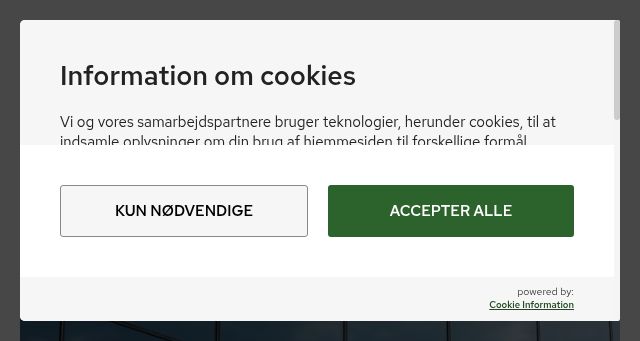 Screenshot of al-bank.dk