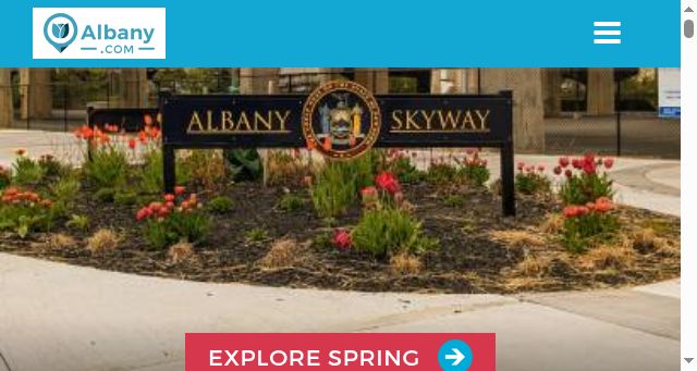 Screenshot of albany.com