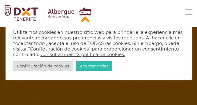 Screenshot of alberguestenerife.net