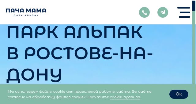 Screenshot of alpakanadonu.ru