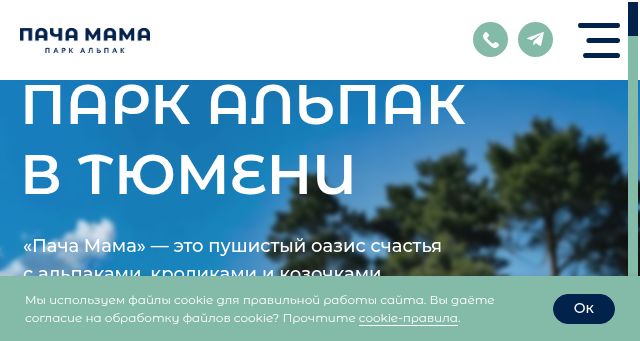Screenshot of alpakatmn.ru