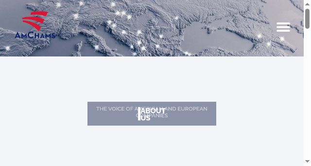 Screenshot of amchamsineurope.com