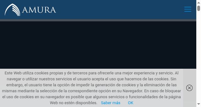 Screenshot of amurapilot.com