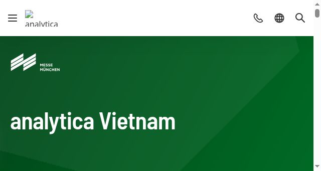 Screenshot of analyticavietnam.com