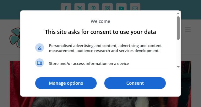 Screenshot of anationofmoms.com