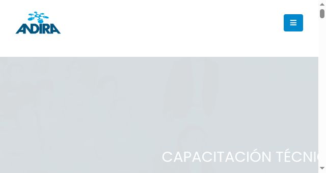 Screenshot of andira.org.mx