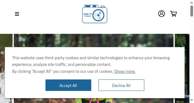 Screenshot of andyjcphoto.com