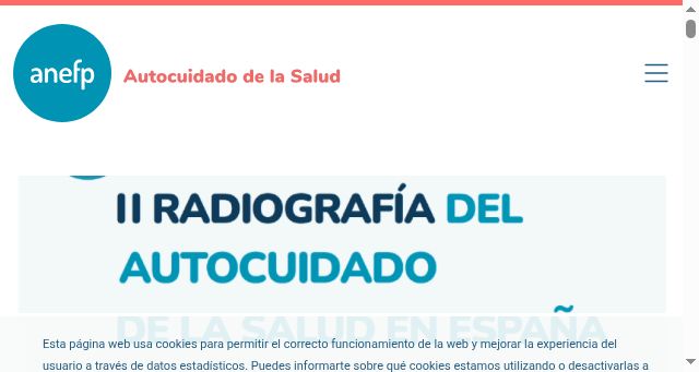 Screenshot of anefp.org