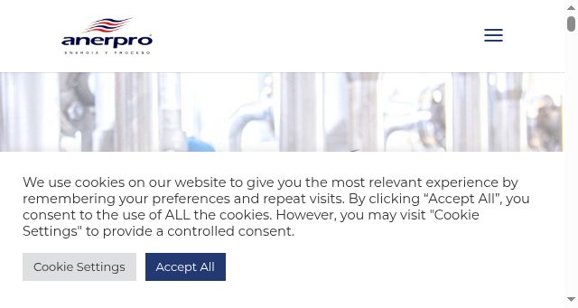 Screenshot of anerpro.com