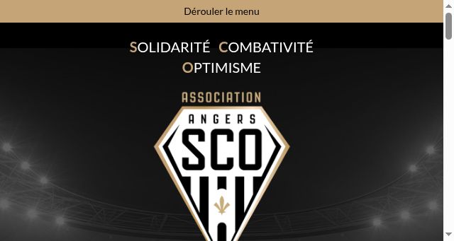 Screenshot of angers-sco-association.fr