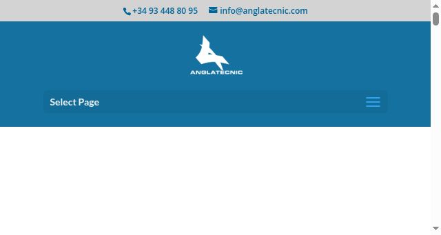 Screenshot of anglatecnic.com
