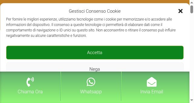 Screenshot of anim-ingegneriamineraria.it