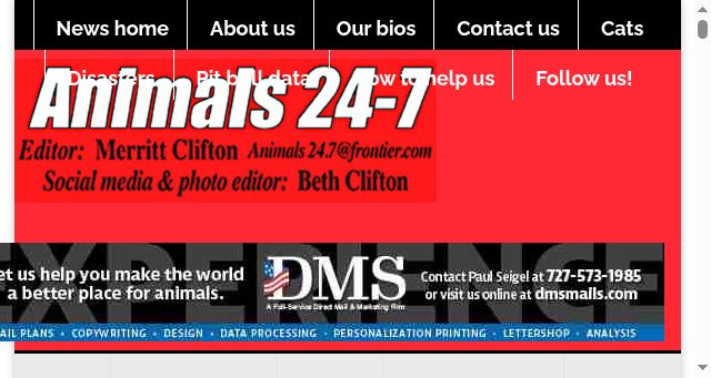 Screenshot of animals24-7.org