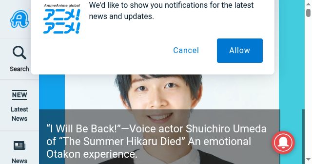 Screenshot of animeanime.global