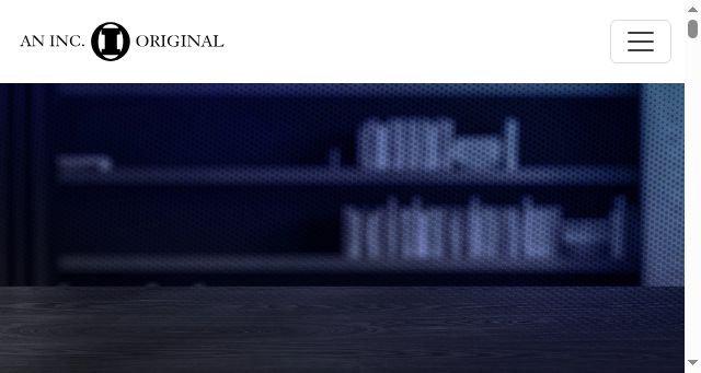 Screenshot of anincoriginal.com