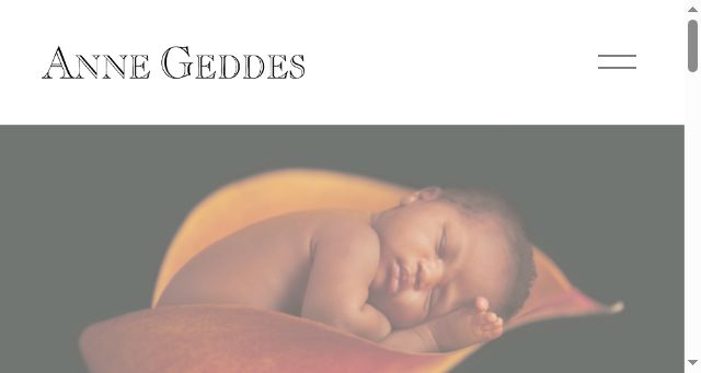 Screenshot of annegeddes.com
