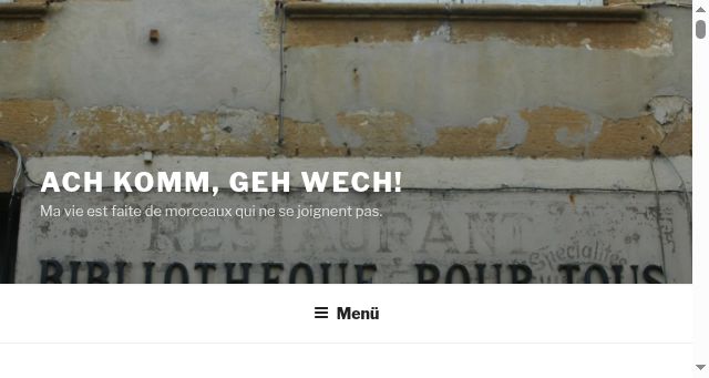 Screenshot of anneschuessler.com