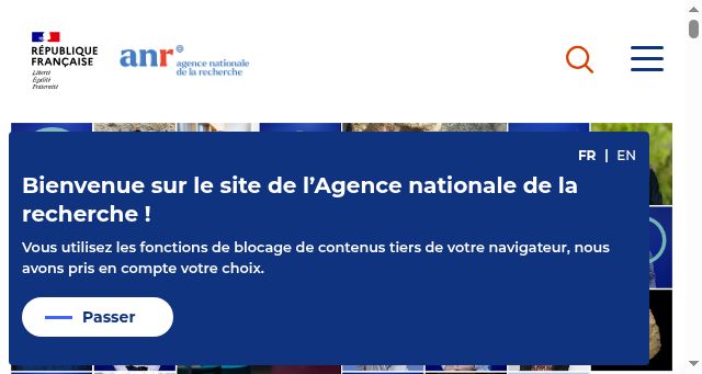 Screenshot of anr.fr