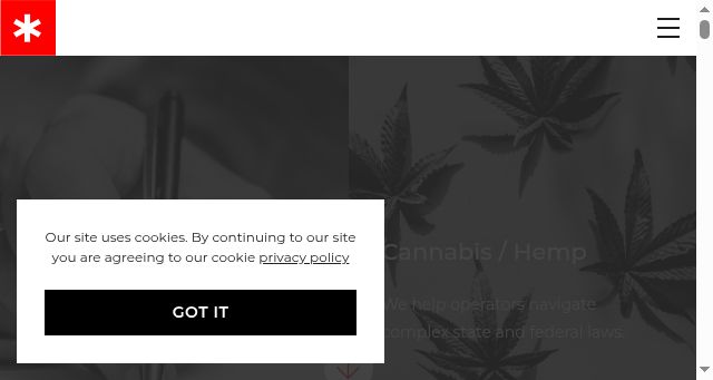 Screenshot of antithesis.law