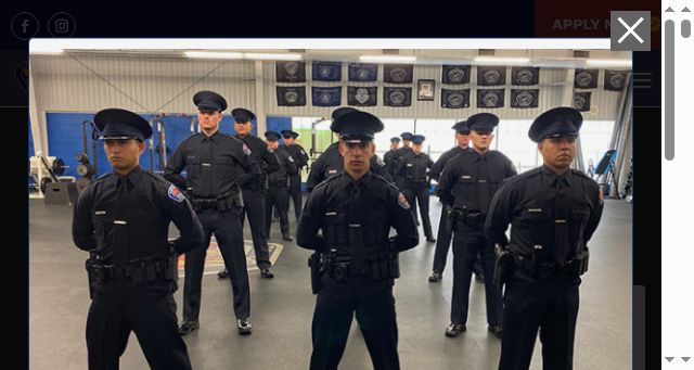 Screenshot of apdonline.com