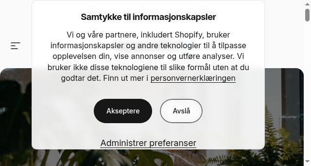 Screenshot of appsalon.no