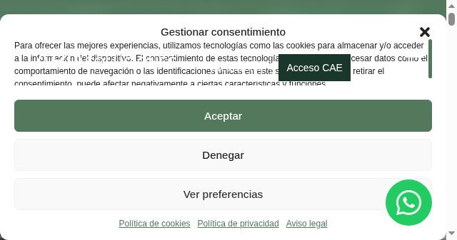 Screenshot of ardsoluciones.com