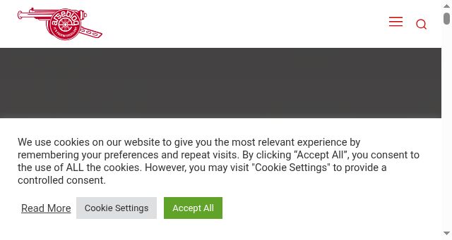 Screenshot of arseblog.com