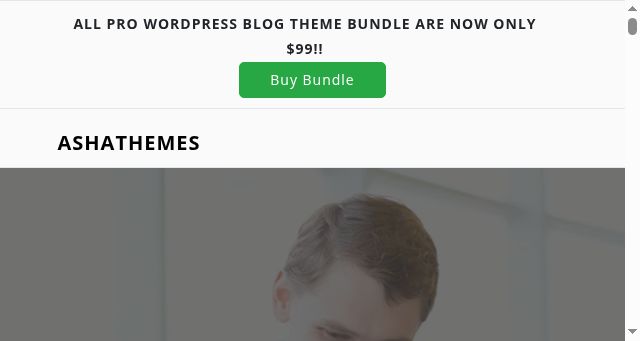 Screenshot of ashathemes.com