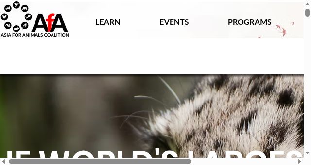 Screenshot of asiaforanimals.com