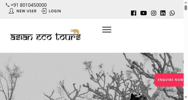 Screenshot of asianecotours.com