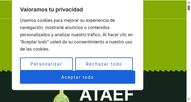 Screenshot of ataefcantabria.org