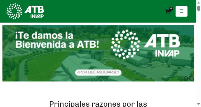 Screenshot of atbinvap.com.ar