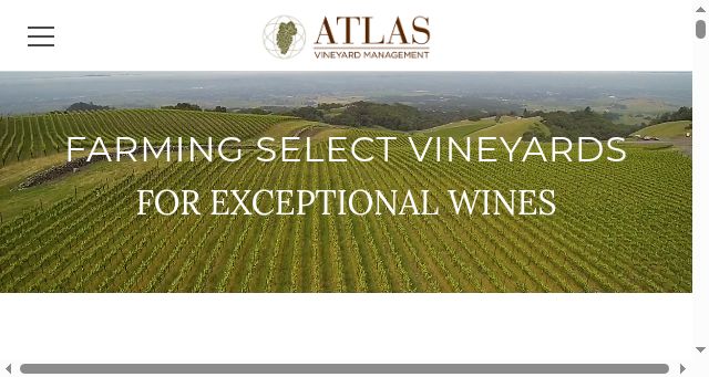 Screenshot of atlasvm.com