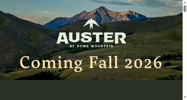 Screenshot of auster.com