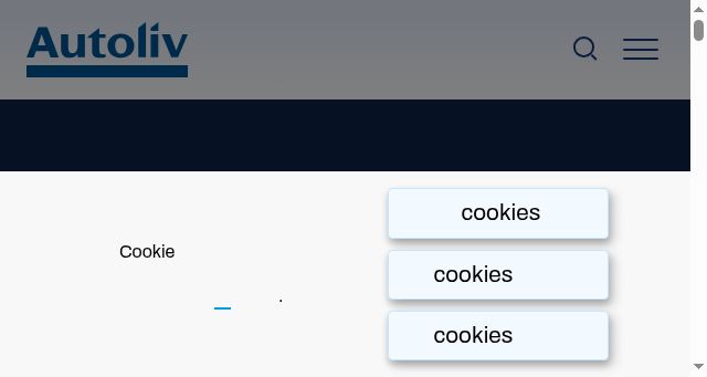 Screenshot of autoliv.cn
