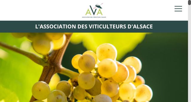 Screenshot of ava-aoc.fr